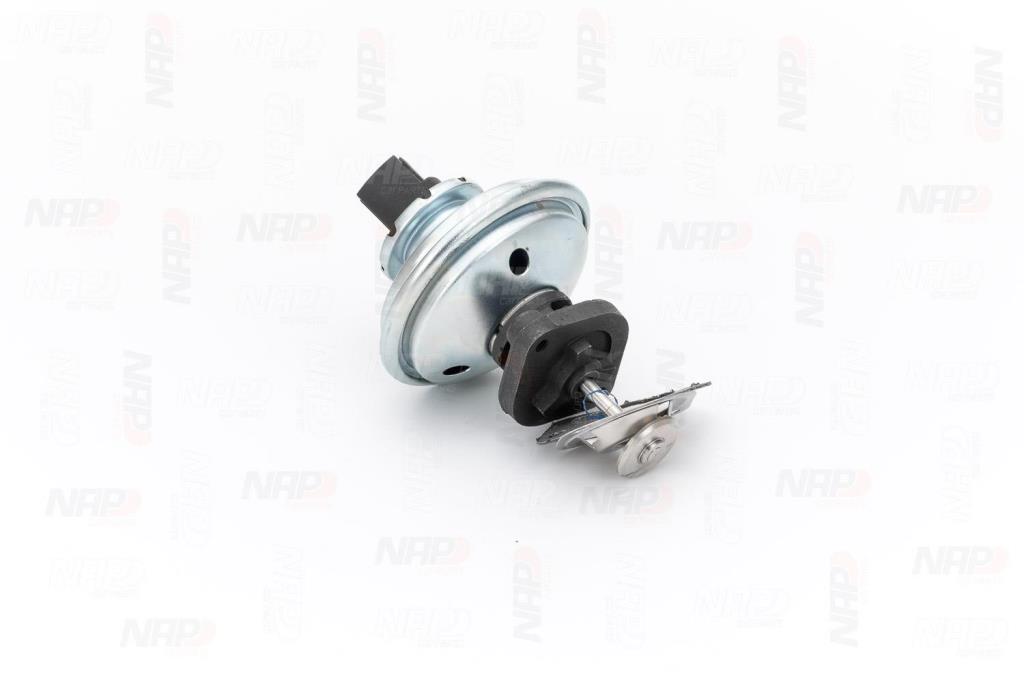 Válvula EGR NAP carPARTS ref. CAV10059