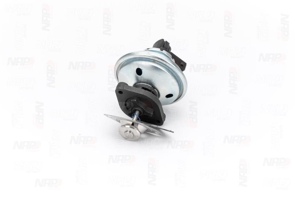 Válvula EGR NAP carPARTS ref. CAV10059