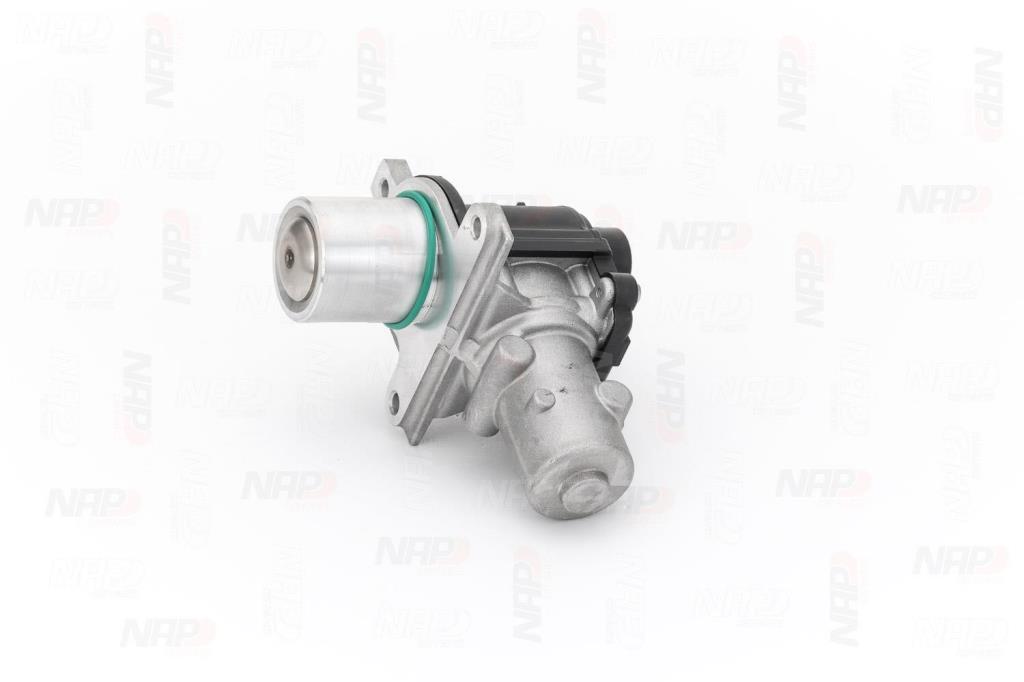 Válvula EGR NAP carPARTS ref. CAV10060