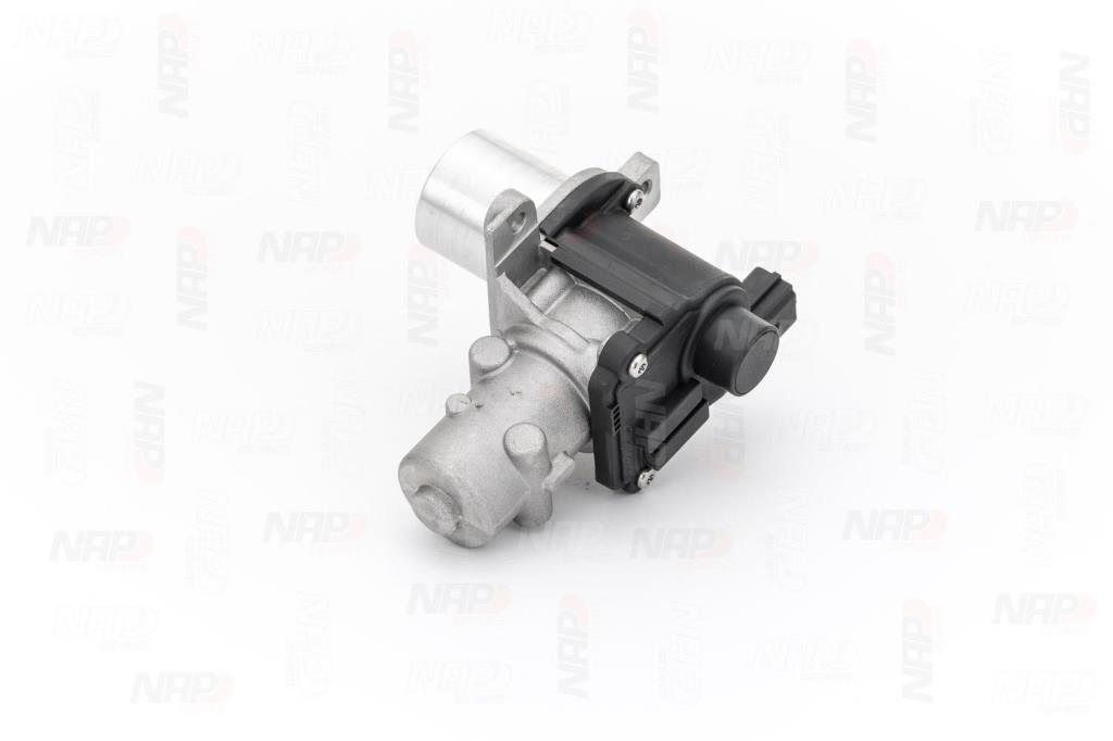Válvula EGR NAP carPARTS ref. CAV10060
