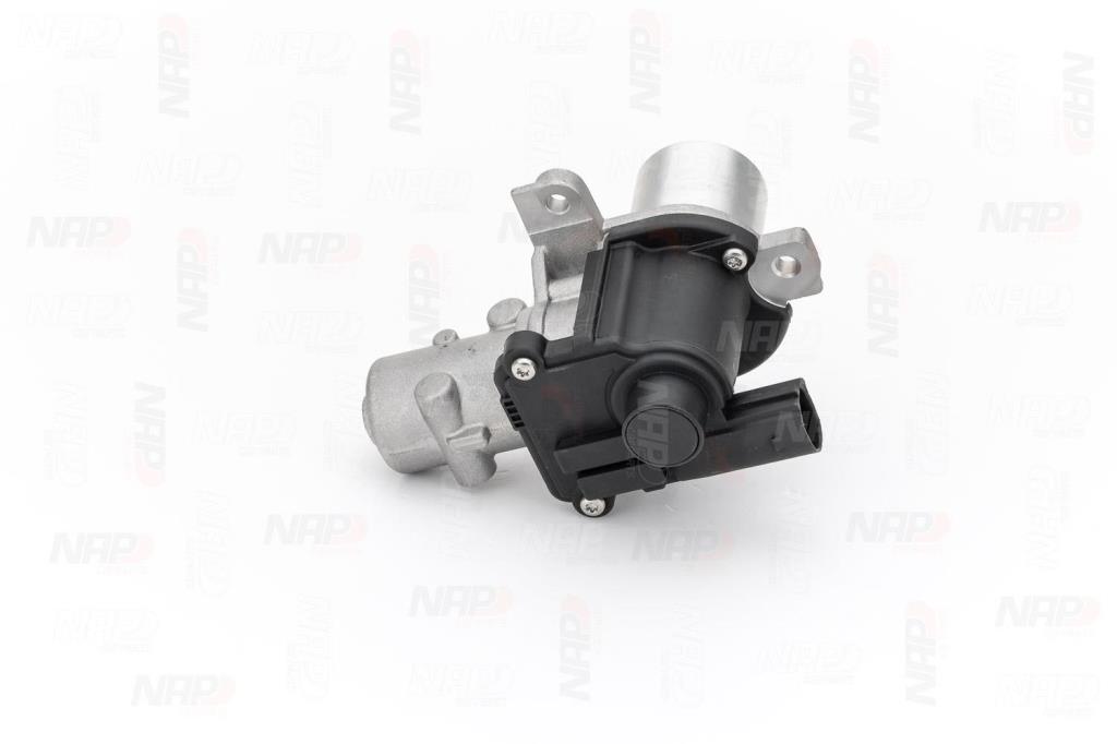 Válvula EGR NAP carPARTS ref. CAV10060