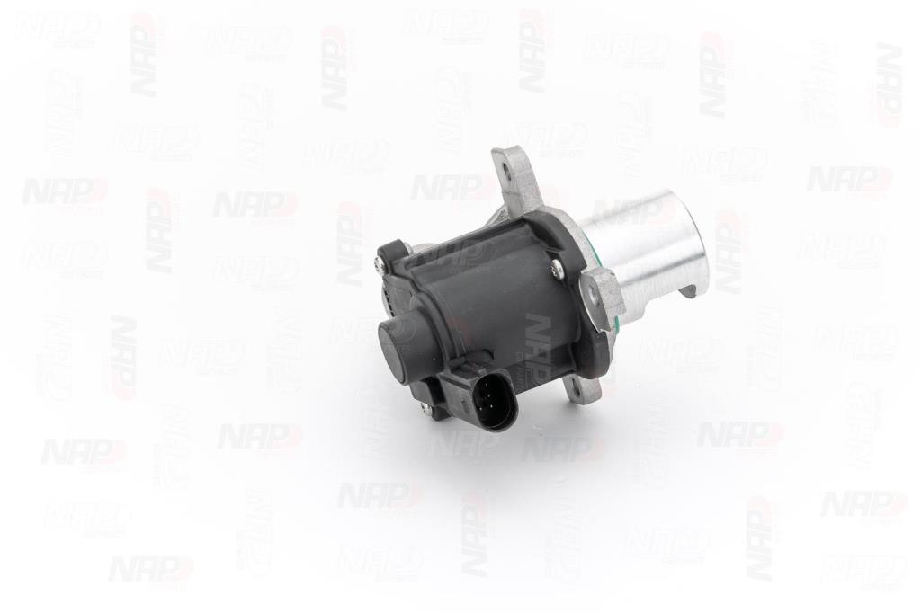 Válvula EGR NAP carPARTS ref. CAV10060