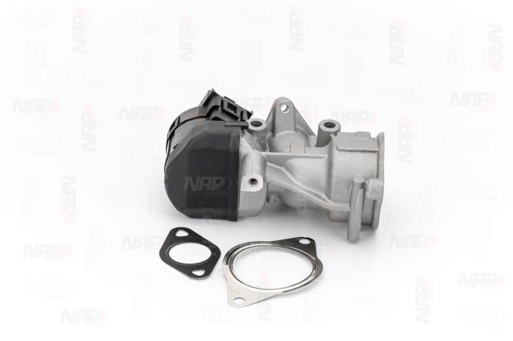 Válvula EGR NAP carPARTS ref. CAV10065