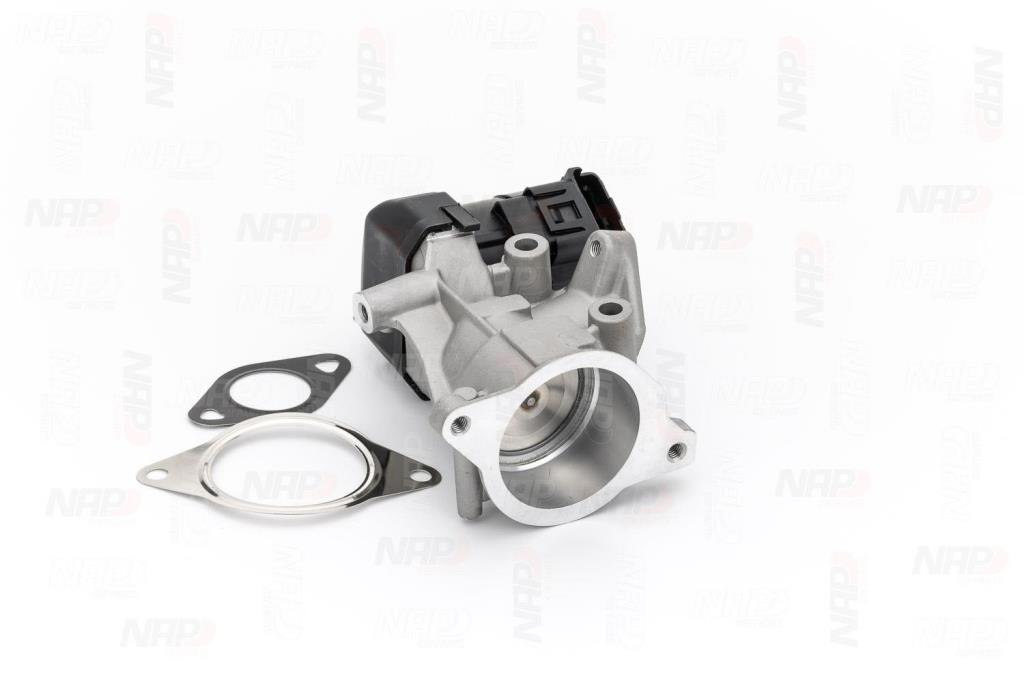Válvula EGR NAP carPARTS ref. CAV10065