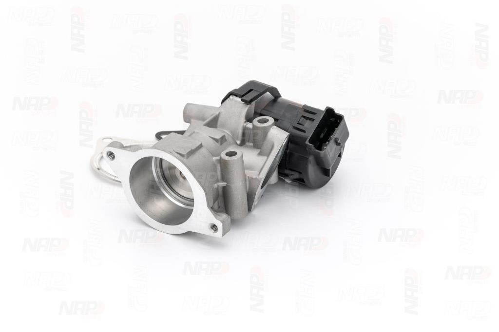 Válvula EGR NAP carPARTS ref. CAV10065