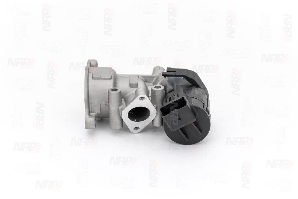 Válvula EGR NAP carPARTS ref. CAV10065