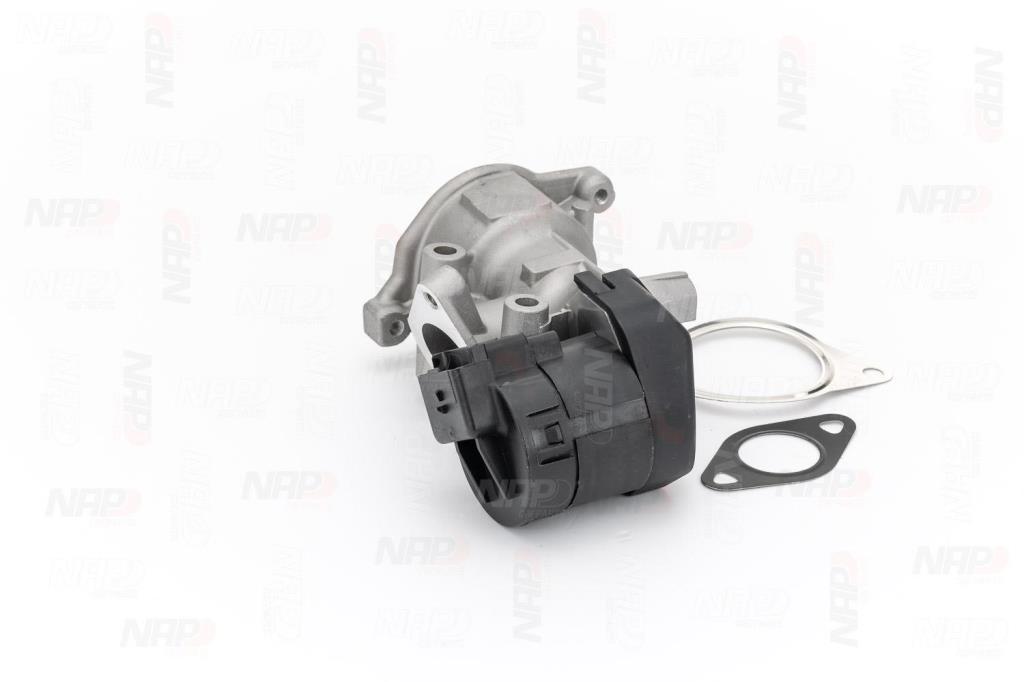 Válvula EGR NAP carPARTS ref. CAV10065