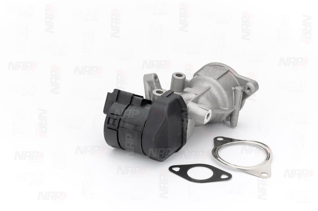 Válvula EGR NAP carPARTS ref. CAV10065