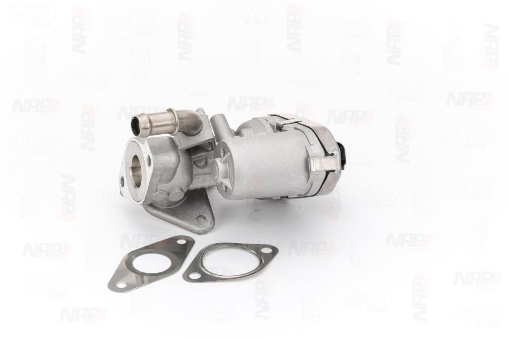 Válvula EGR NAP carPARTS ref. CAV10070