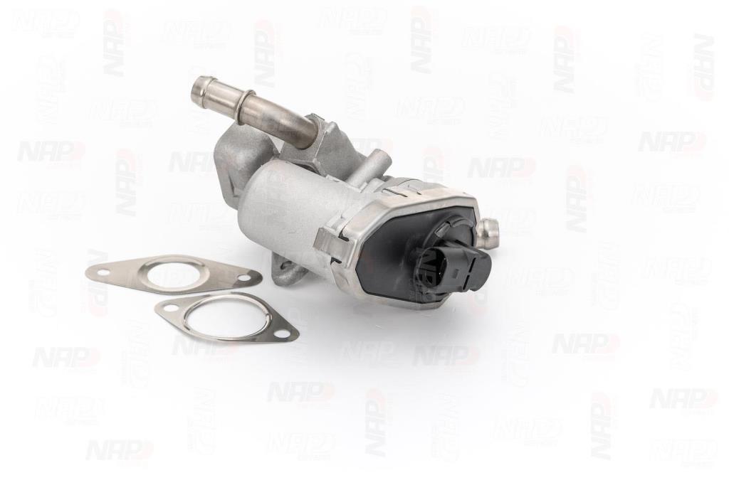 Válvula EGR NAP carPARTS ref. CAV10070