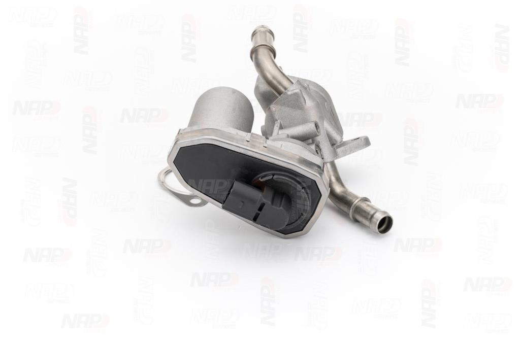 Válvula EGR NAP carPARTS ref. CAV10070