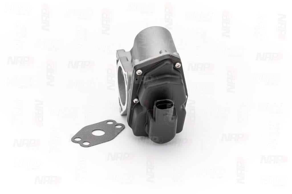 Válvula EGR NAP carPARTS ref. CAV10071