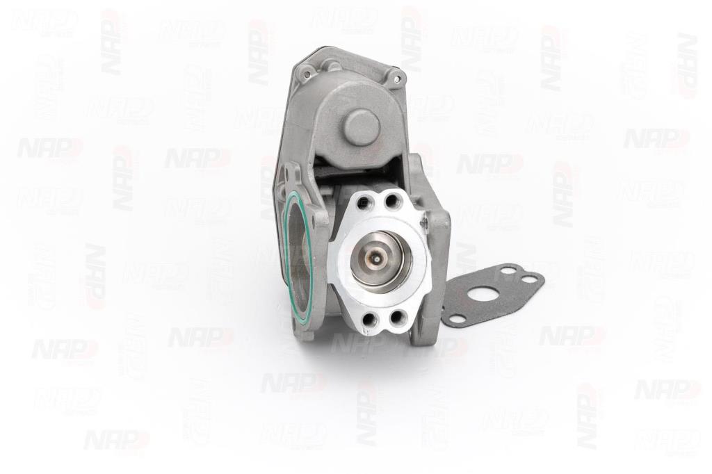 Válvula EGR NAP carPARTS ref. CAV10071