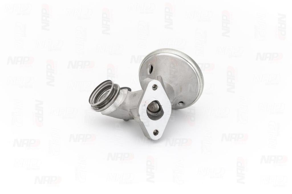 Vanne EGR NAP carPARTS ref. CAV10080
