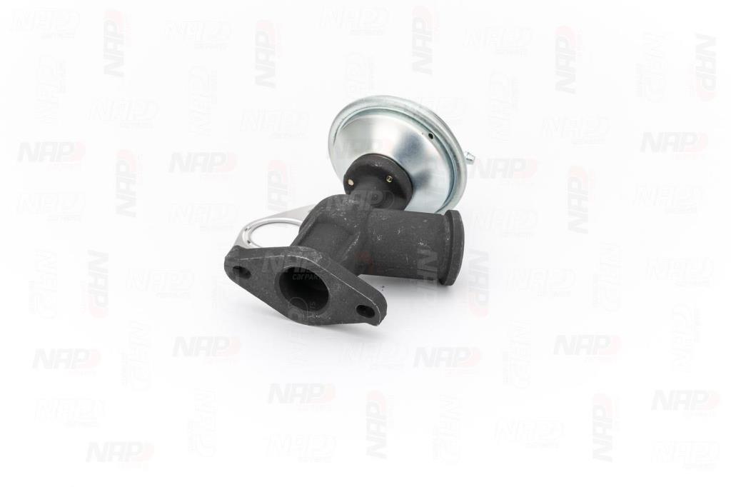 Vanne EGR NAP carPARTS ref. CAV10081
