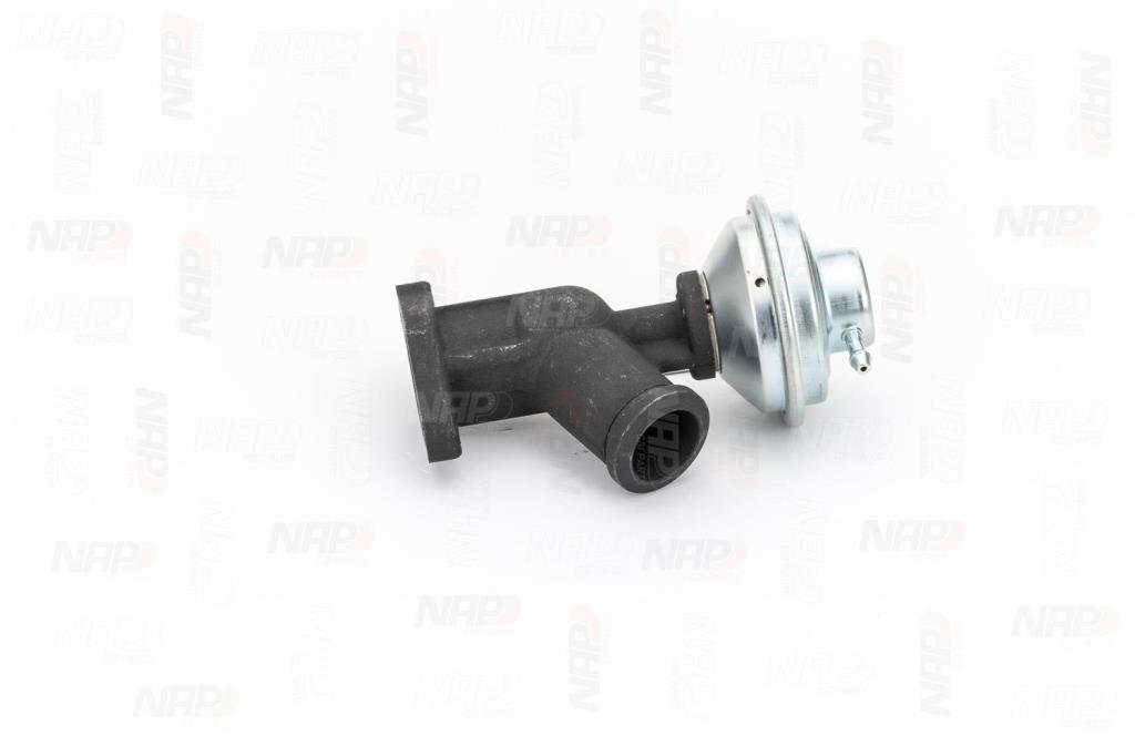 Vanne EGR NAP carPARTS ref. CAV10081
