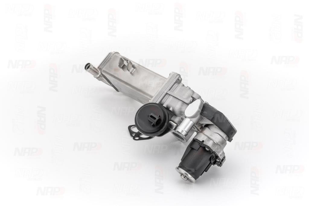Válvula EGR NAP carPARTS ref. CAV10089
