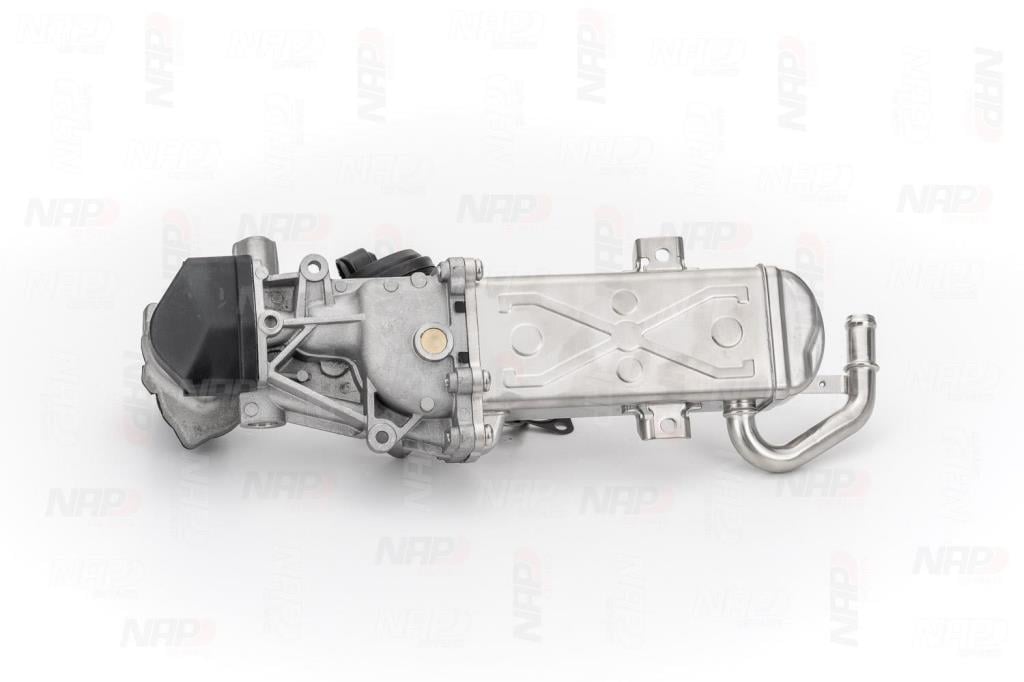 Válvula EGR NAP carPARTS ref. CAV10089
