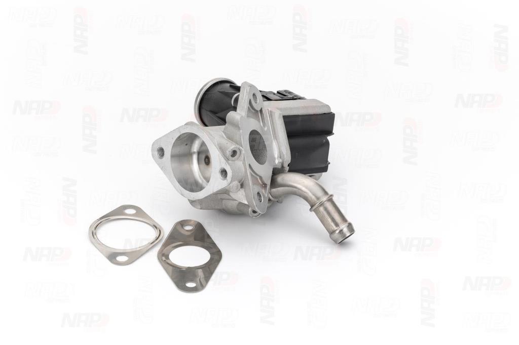 Válvula EGR NAP carPARTS ref. CAV10098