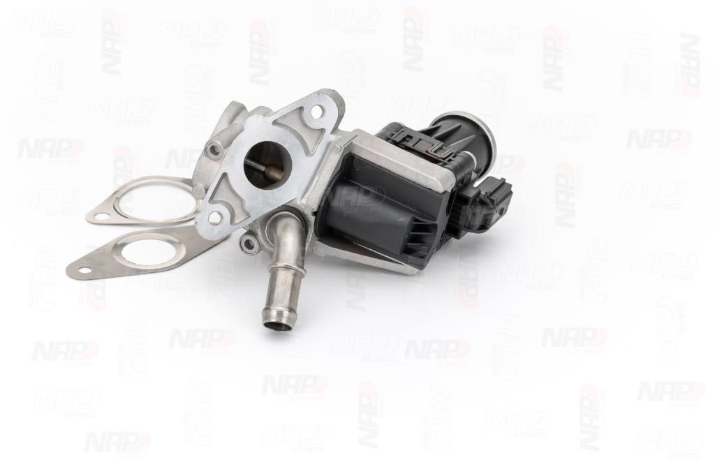 Válvula EGR NAP carPARTS ref. CAV10098