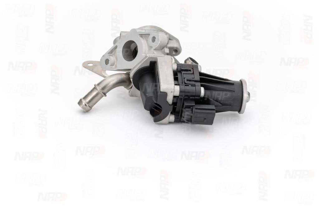 Válvula EGR NAP carPARTS ref. CAV10098