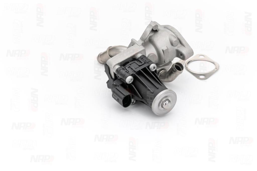 Válvula EGR NAP carPARTS ref. CAV10098