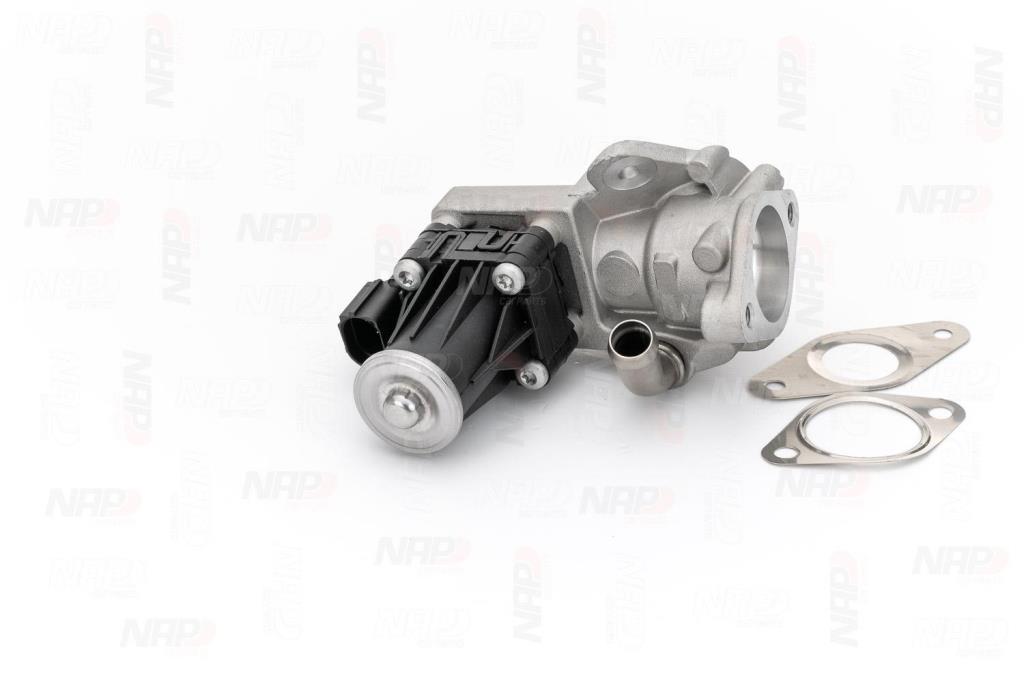 Válvula EGR NAP carPARTS ref. CAV10098