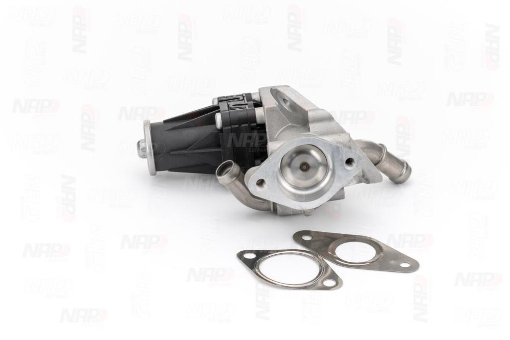 Válvula EGR NAP carPARTS ref. CAV10098
