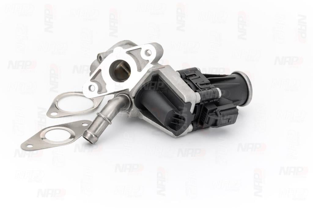 Válvula EGR NAP carPARTS ref. CAV10099