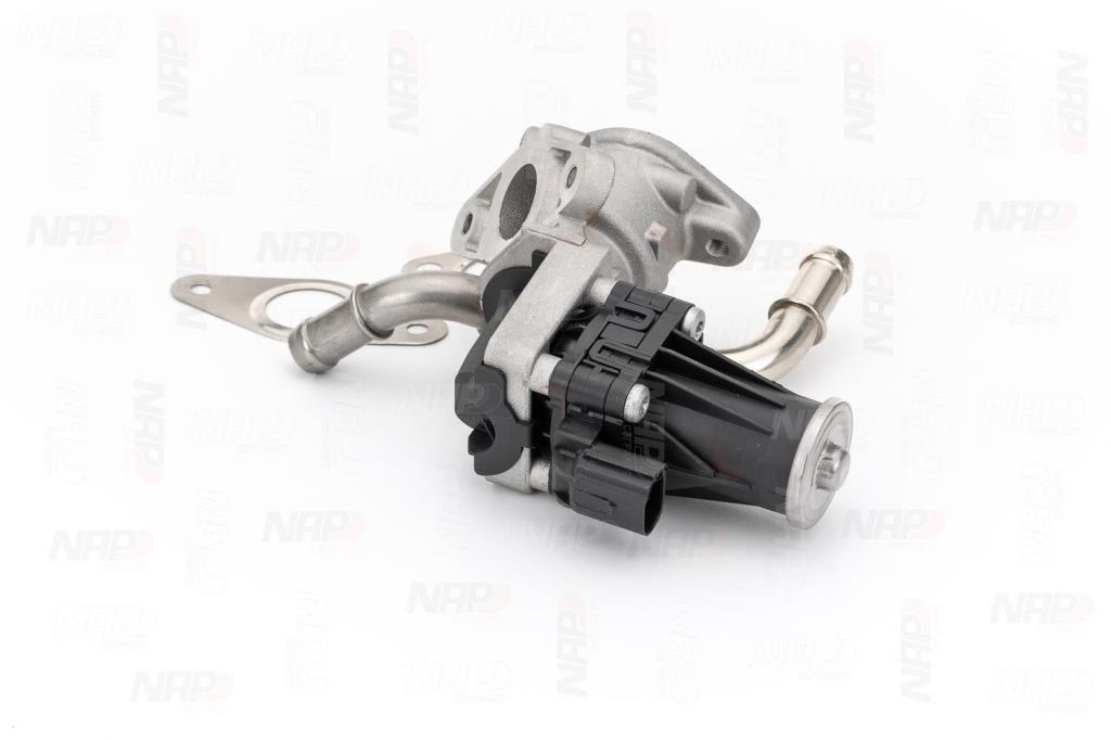 Válvula EGR NAP carPARTS ref. CAV10099