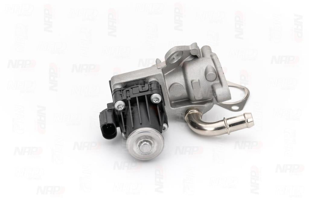 Válvula EGR NAP carPARTS ref. CAV10099