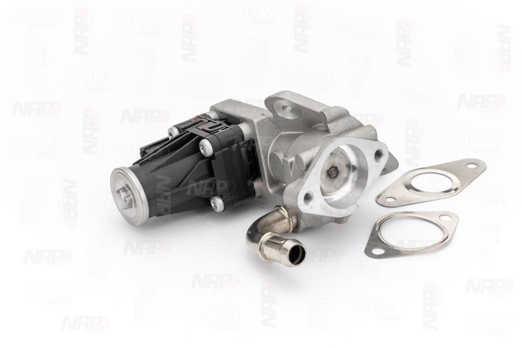 Válvula EGR NAP carPARTS ref. CAV10099