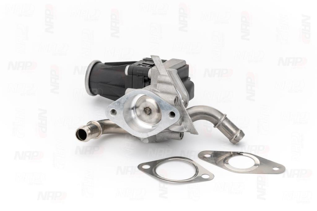 Válvula EGR NAP carPARTS ref. CAV10099
