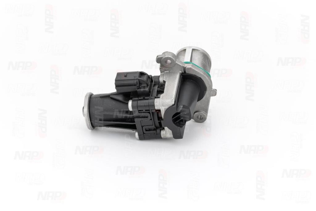 Válvula EGR NAP carPARTS ref. CAV10100