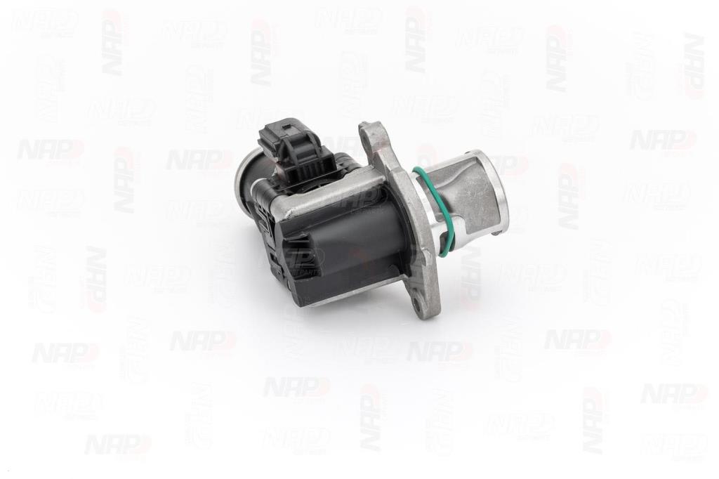 Válvula EGR NAP carPARTS ref. CAV10100