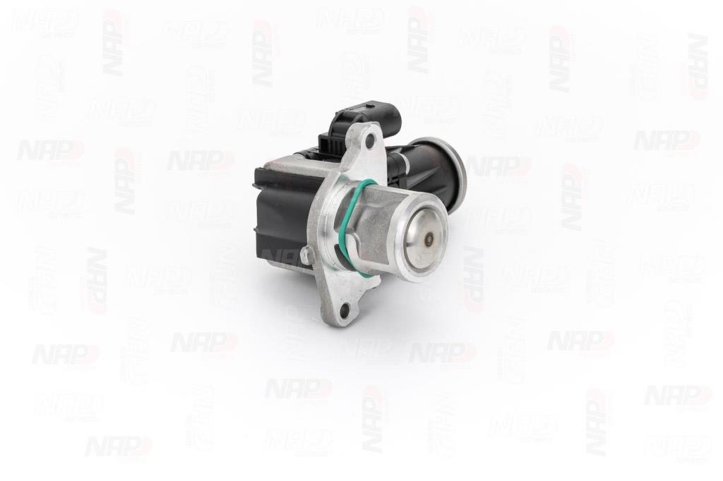 Válvula EGR NAP carPARTS ref. CAV10100