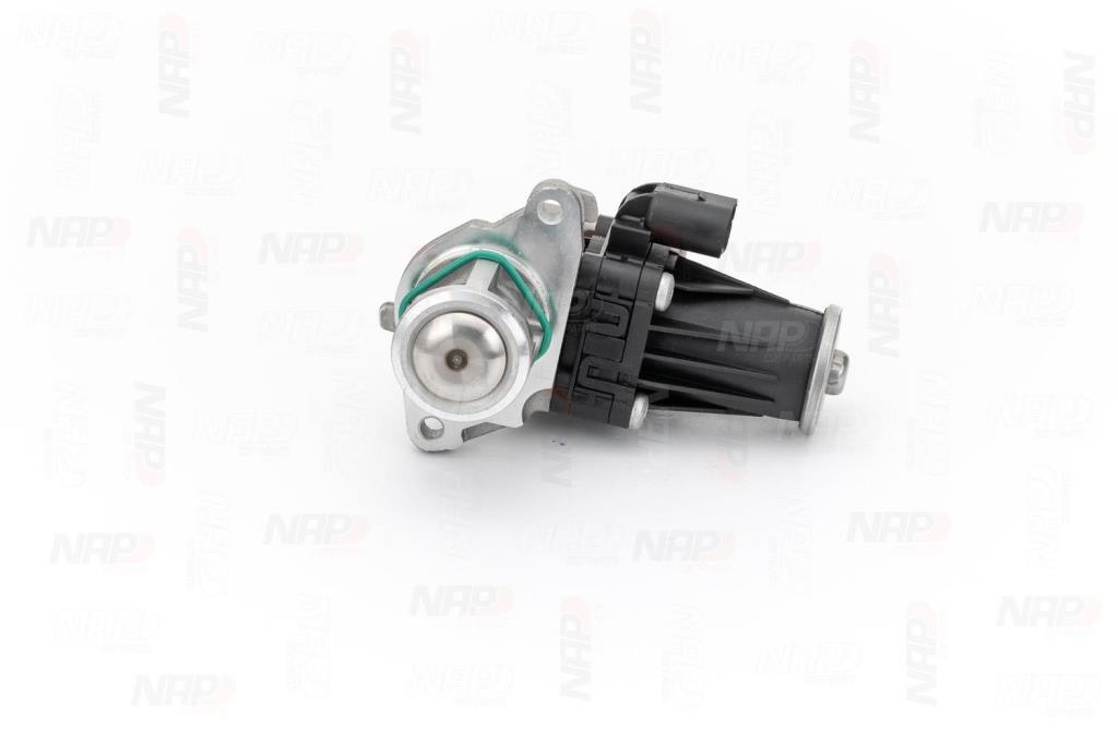 Válvula EGR NAP carPARTS ref. CAV10100