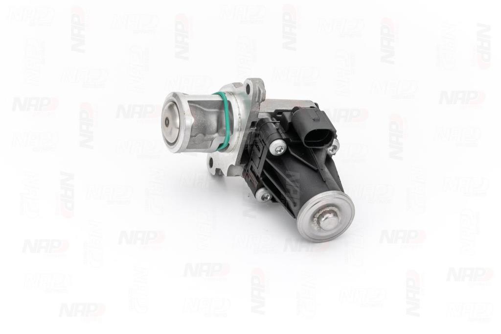Válvula EGR NAP carPARTS ref. CAV10100
