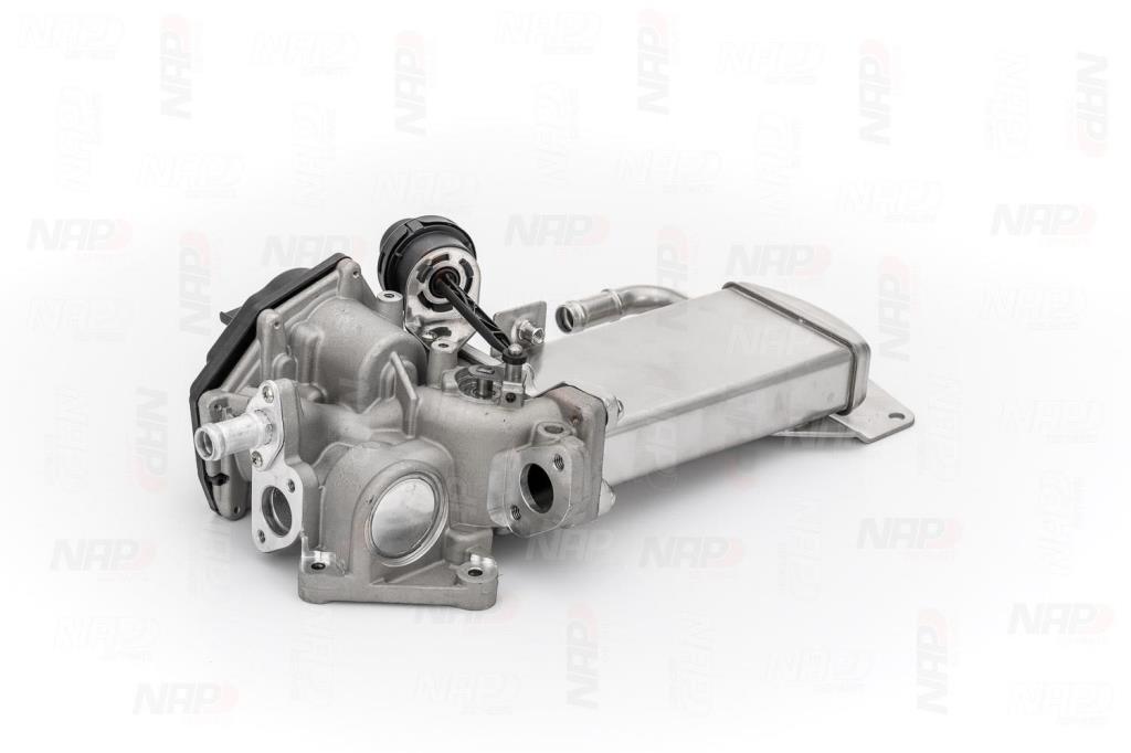 Válvula EGR NAP carPARTS ref. CAV10116