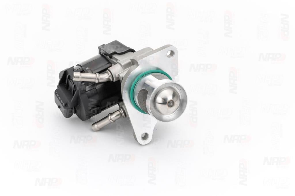 Válvula EGR NAP carPARTS ref. CAV10123