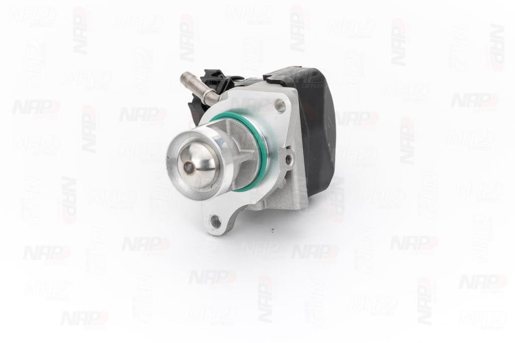 Válvula EGR NAP carPARTS ref. CAV10123