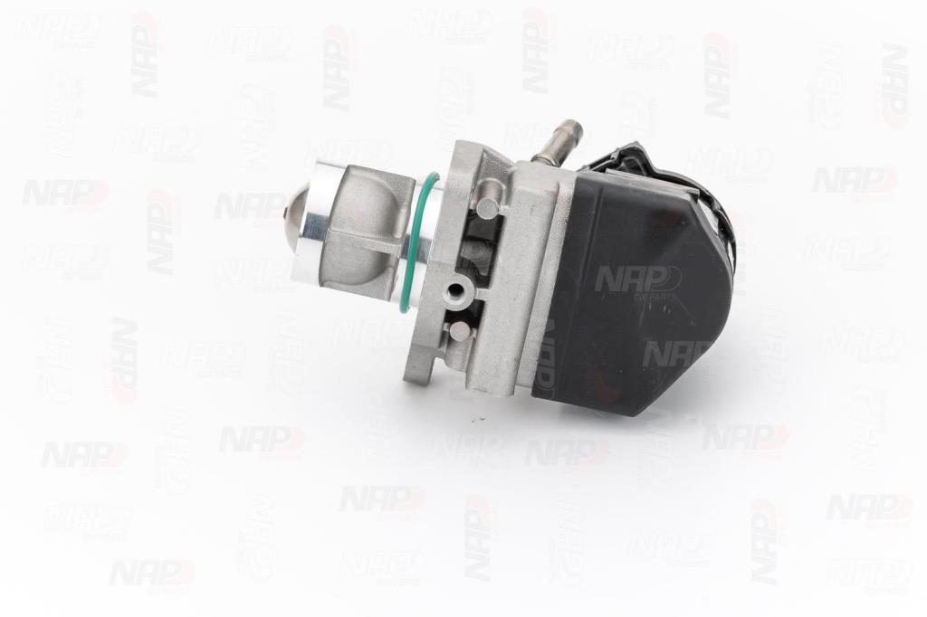 Válvula EGR NAP carPARTS ref. CAV10123