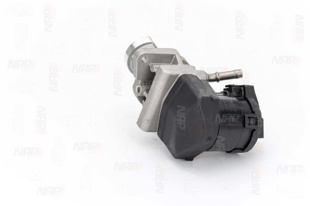 Válvula EGR NAP carPARTS ref. CAV10123