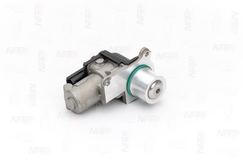 Válvula EGR NAP carPARTS ref. CAV10124