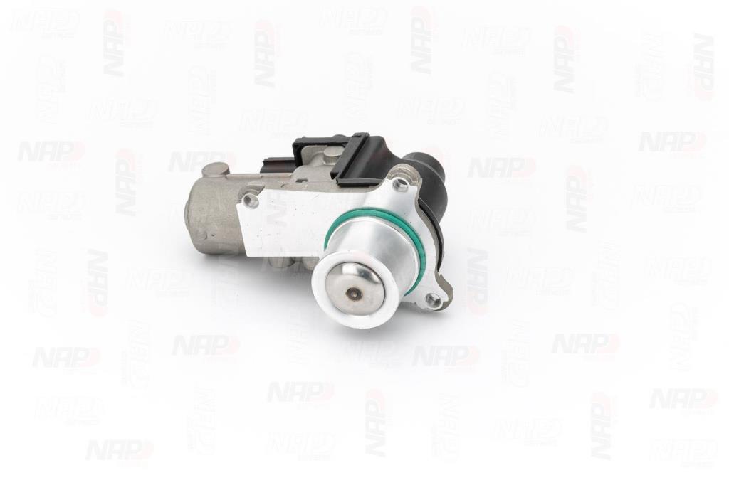 Válvula EGR NAP carPARTS ref. CAV10124