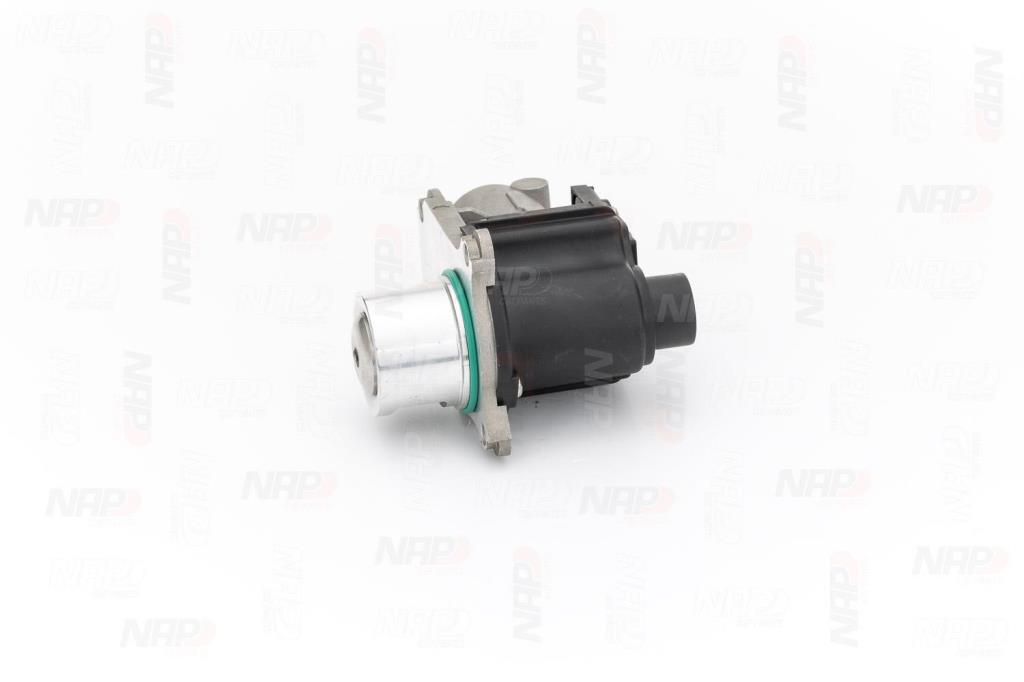 Válvula EGR NAP carPARTS ref. CAV10124