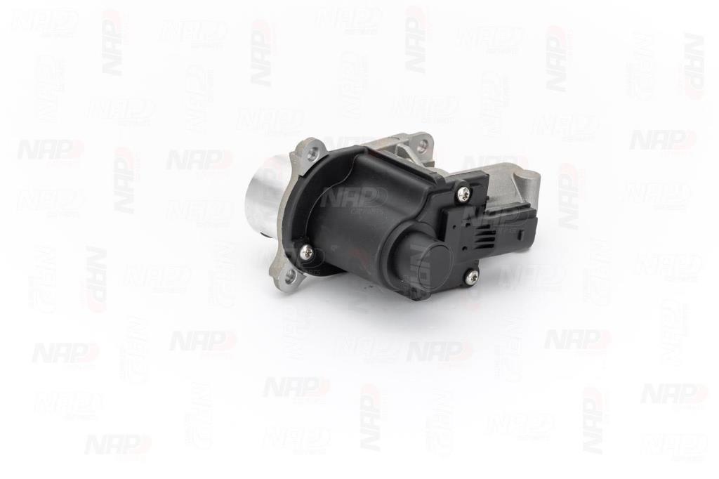 Válvula EGR NAP carPARTS ref. CAV10124