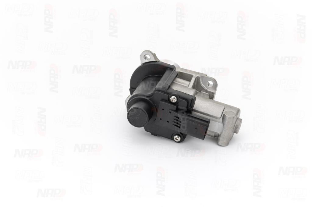 Válvula EGR NAP carPARTS ref. CAV10124