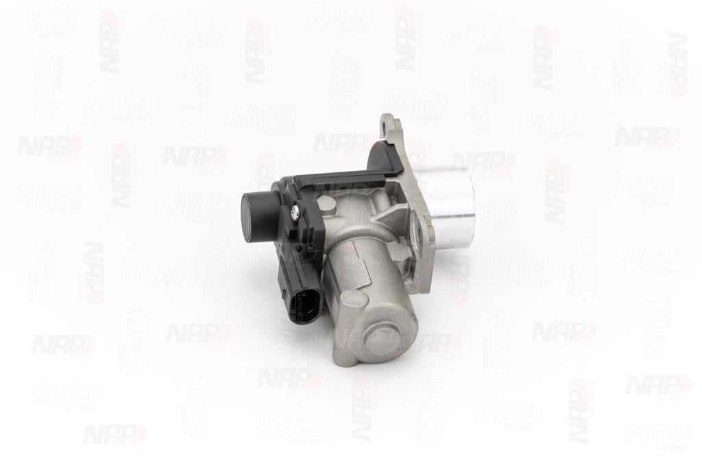 Válvula EGR NAP carPARTS ref. CAV10124