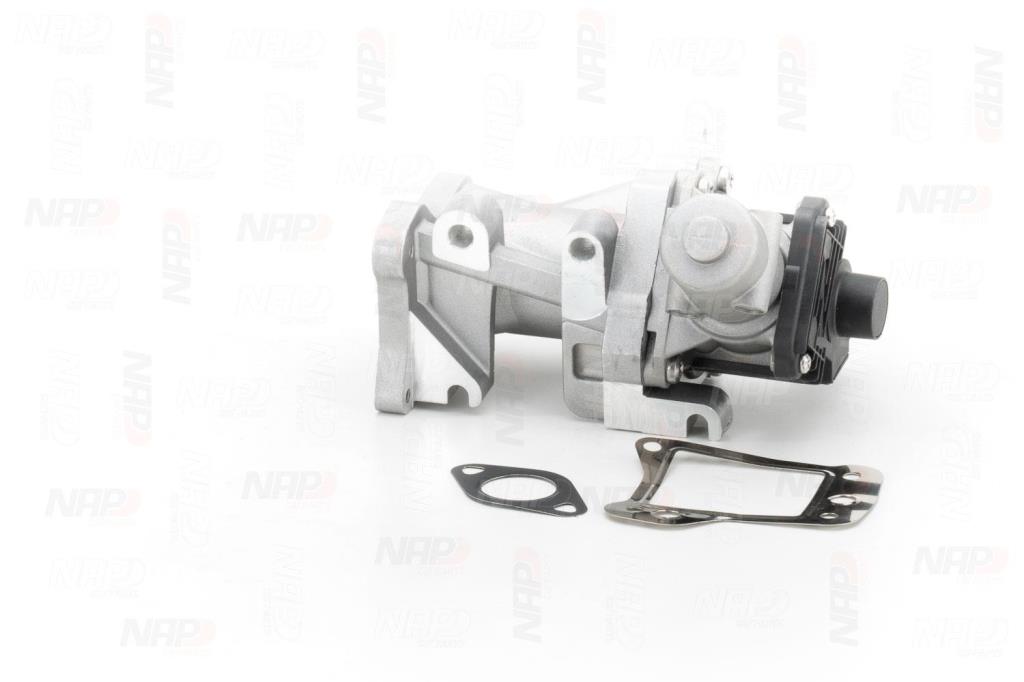 Válvula EGR NAP carPARTS ref. CAV10125